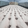 Biodegradable paper mulch film enriched with fertilizer for organic farming