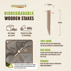 60 Biodegradable Poplar Wood Pegs – Natural fixing for mulch fabric (for approx. 60m)