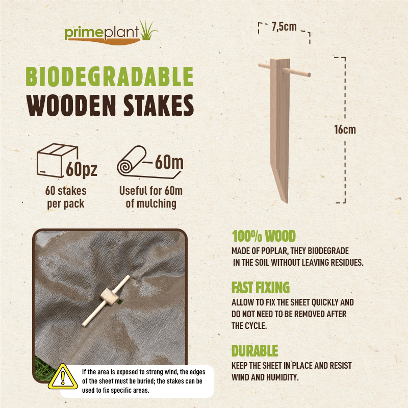 60 Biodegradable Poplar Wood Pegs – Natural fixing for mulch fabric (for approx. 60m)