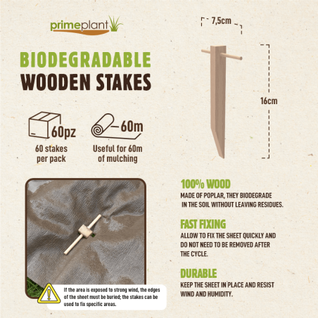 60 Biodegradable Poplar Wood Pegs – Natural fixing for mulch fabric (for approx. 60m)