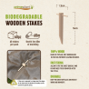 60 Biodegradable Poplar Wood Pegs – Natural fixing for mulch fabric (for approx. 60m)