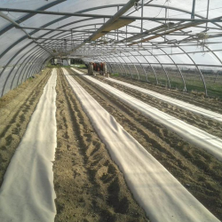 Biodegradable paper mulch film enriched with fertilizer for organic farming