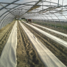 Biodegradable paper mulch film enriched with fertilizer for organic farming
